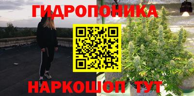 скорость Новозыбков