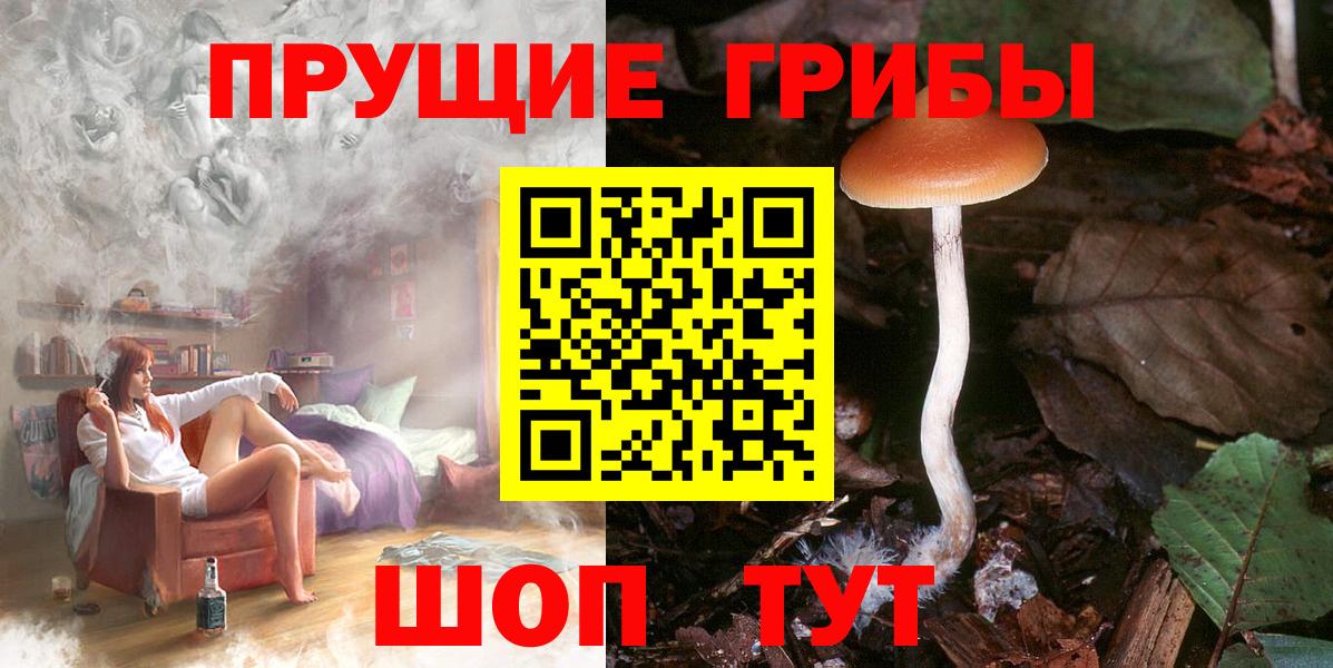 Псилоцибиновые грибы мицелий  Вход с VPN  Североуральск 