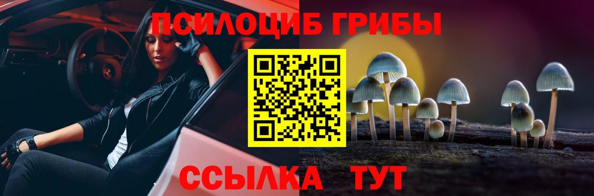 Псилоцибиновые грибы мицелий Североуральск